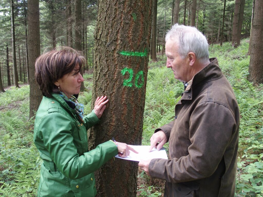 A whole team of experienced volunteer foresters. Forestry coach.
