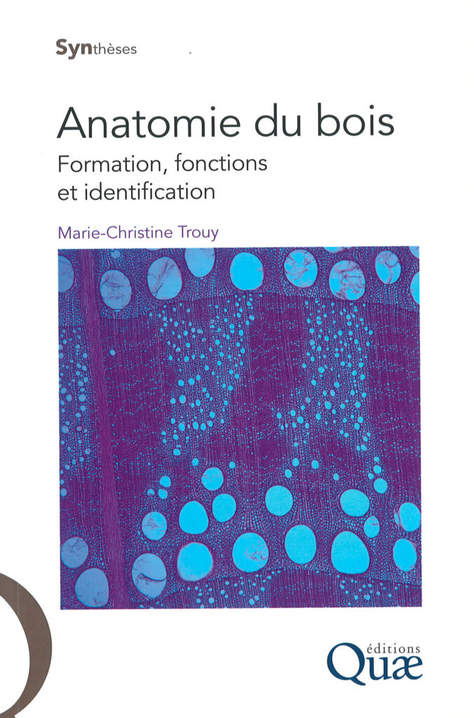 Anatomie van hout