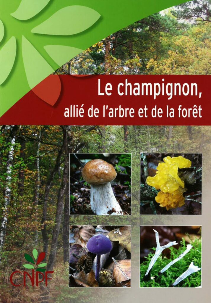 Paddenstoelen, bondgenoten van bomen en bossen