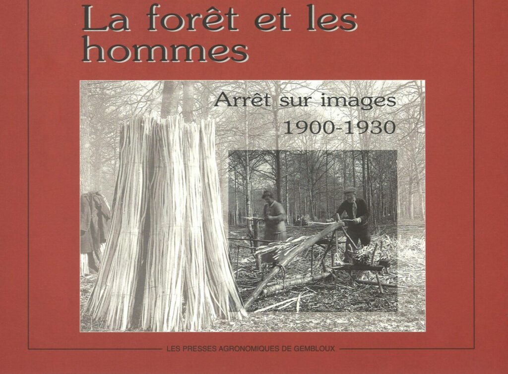 Het bos en de mensen