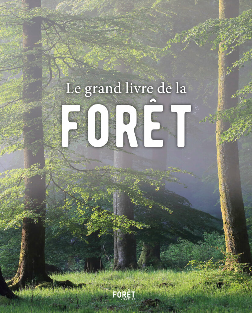 Het grote boek van het bos!