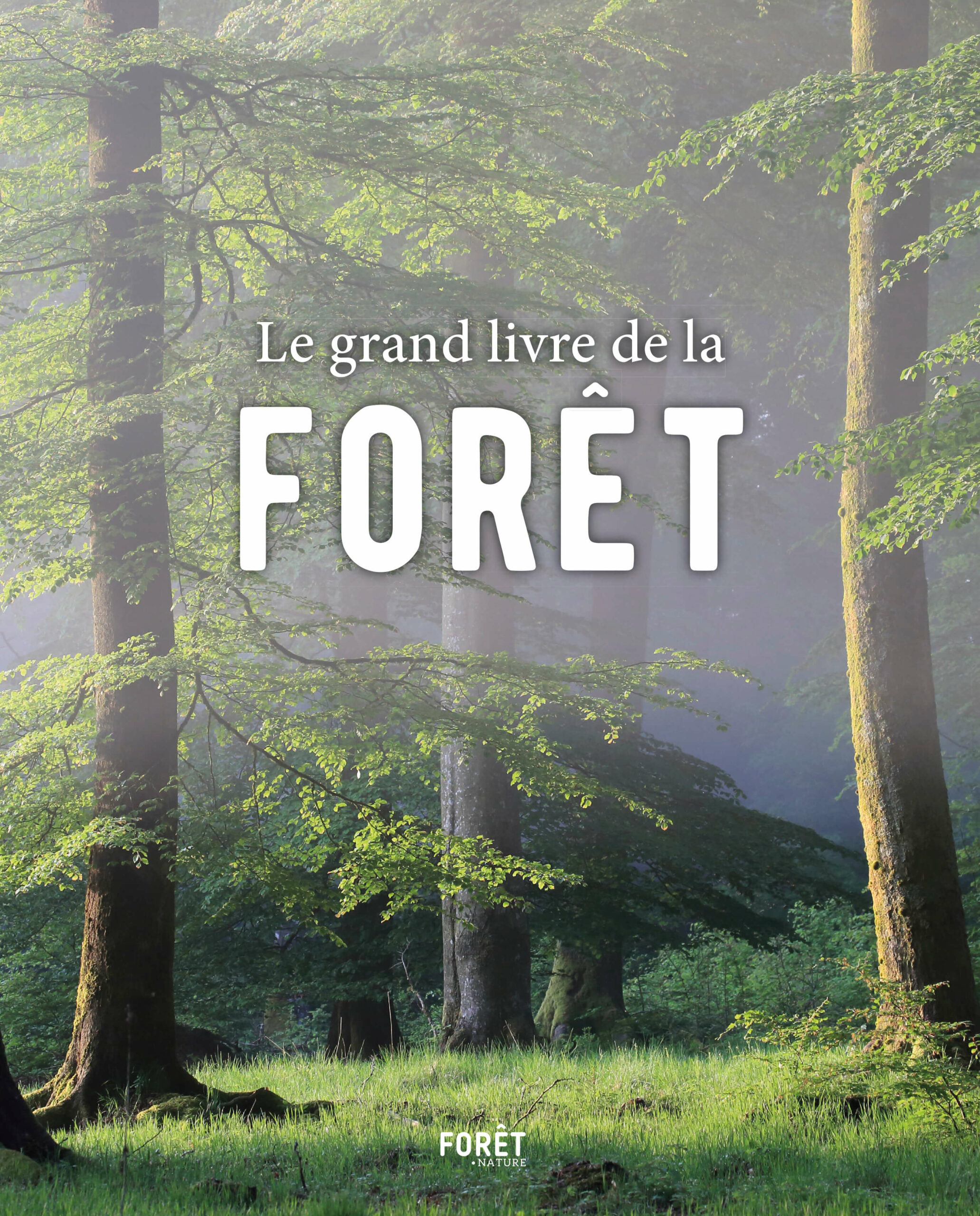 Het grote boek van het bos!