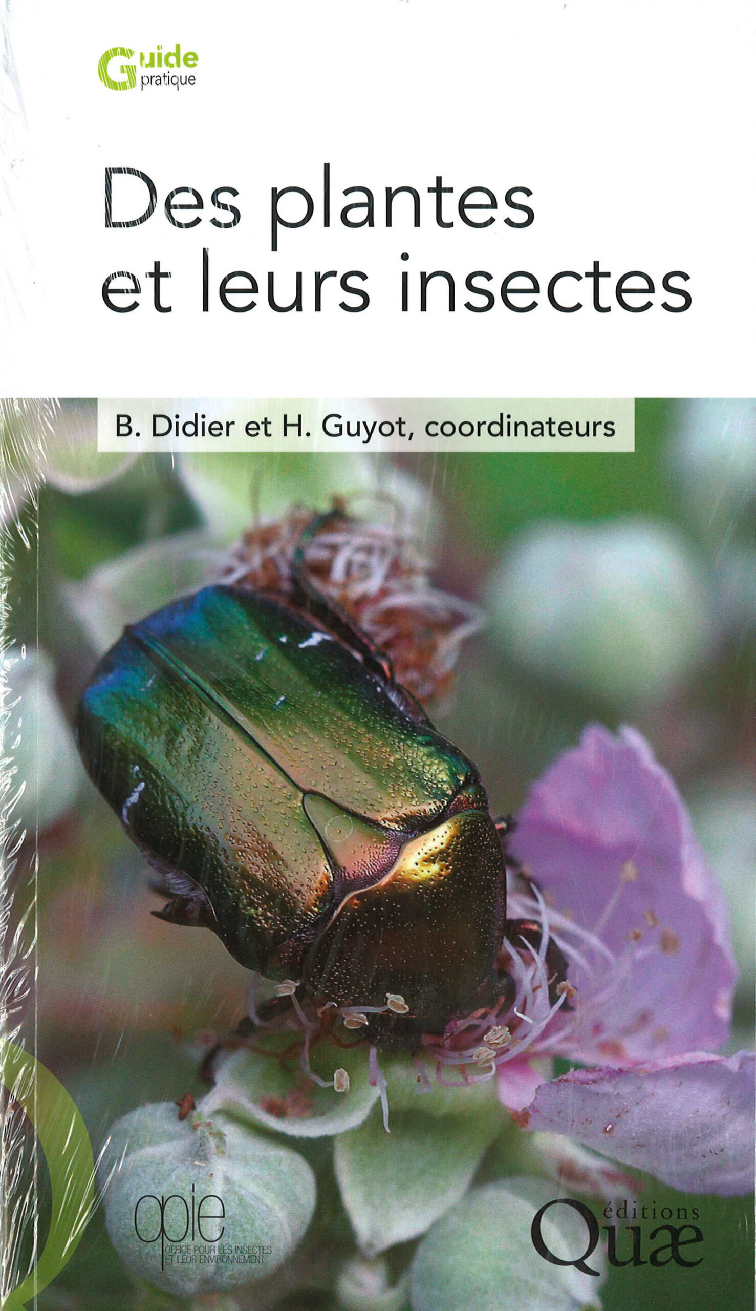 Plants and their insects