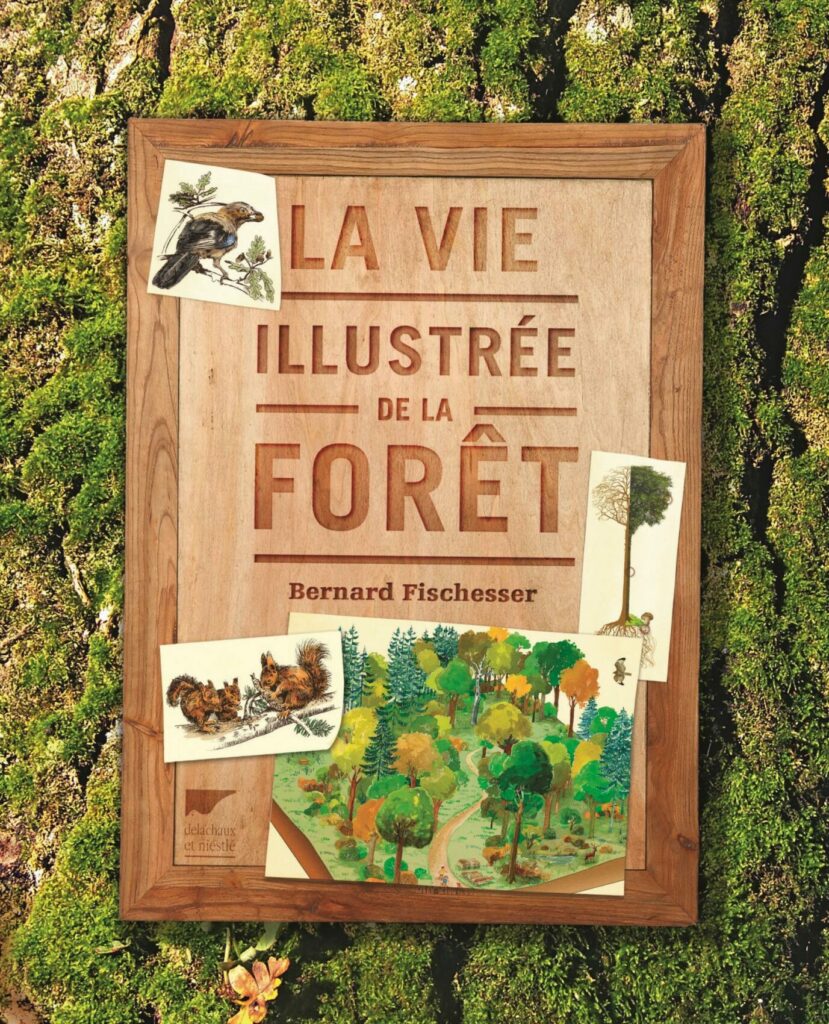 Het geïllustreerde leven van het bos