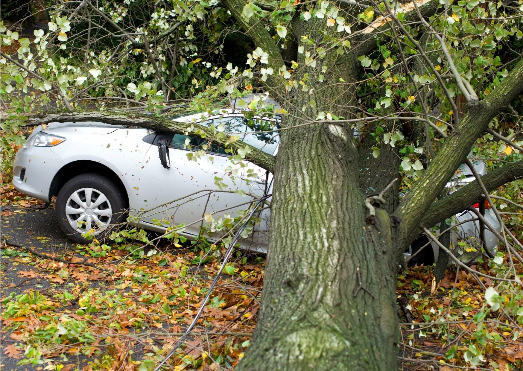 Car accident with a tree - RC Forêt