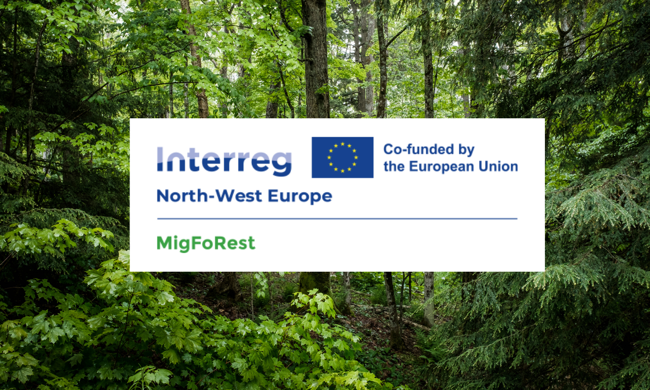MigForest