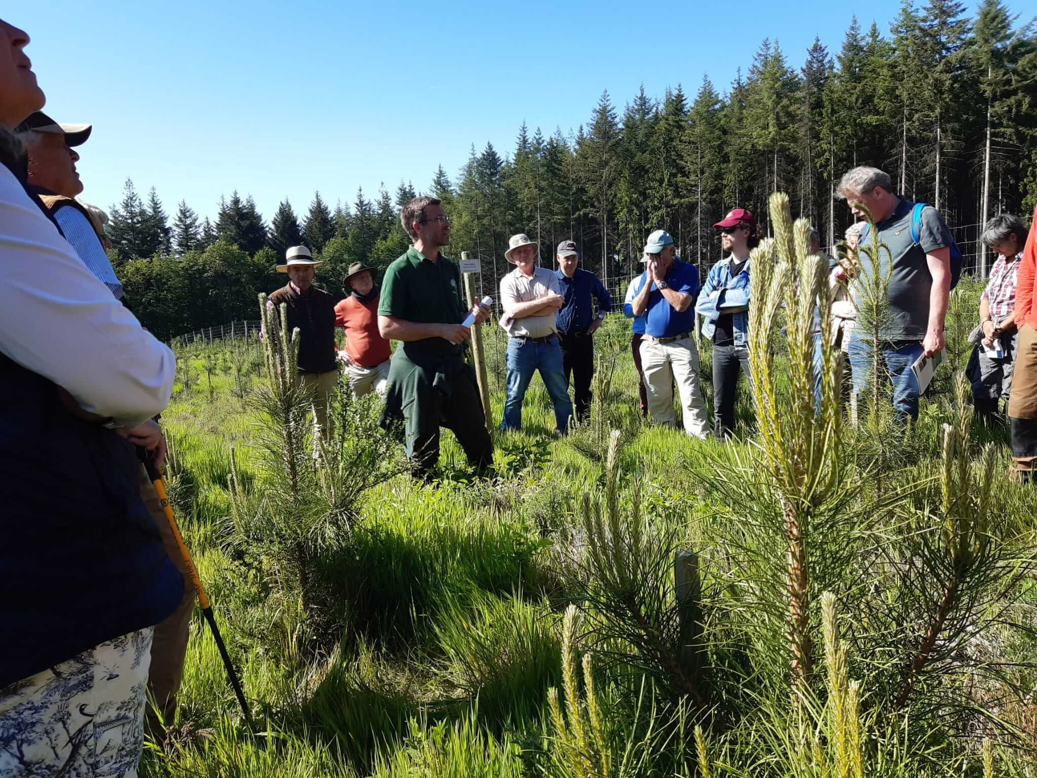 SilvaForm - Opleiding