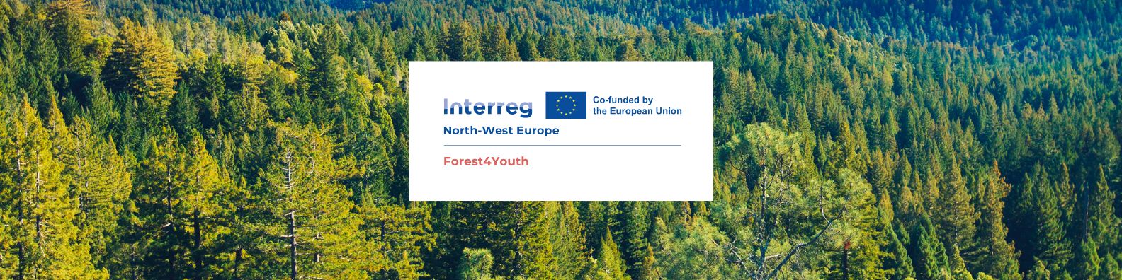 Forest4Youth