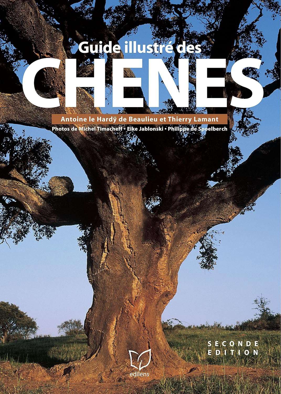 Illustrated guide to oak trees