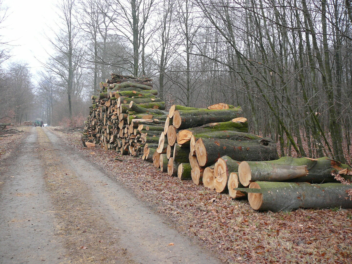 Organiseer een verkoop van staand hout