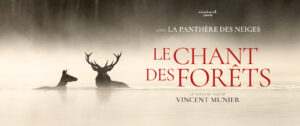 Le Chant des Forêts