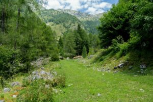 Forests, mountains and plains of Italy. Study trip.