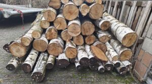 Bundle of logs