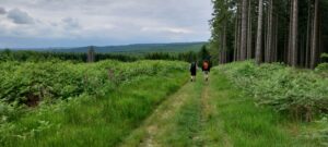 Landschap - Forest4Youth